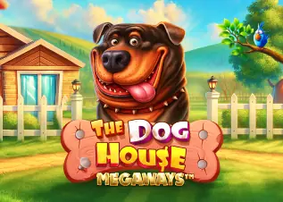 The Dog House Megaways nova345