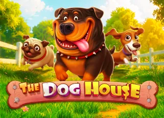 The Dog House nova345